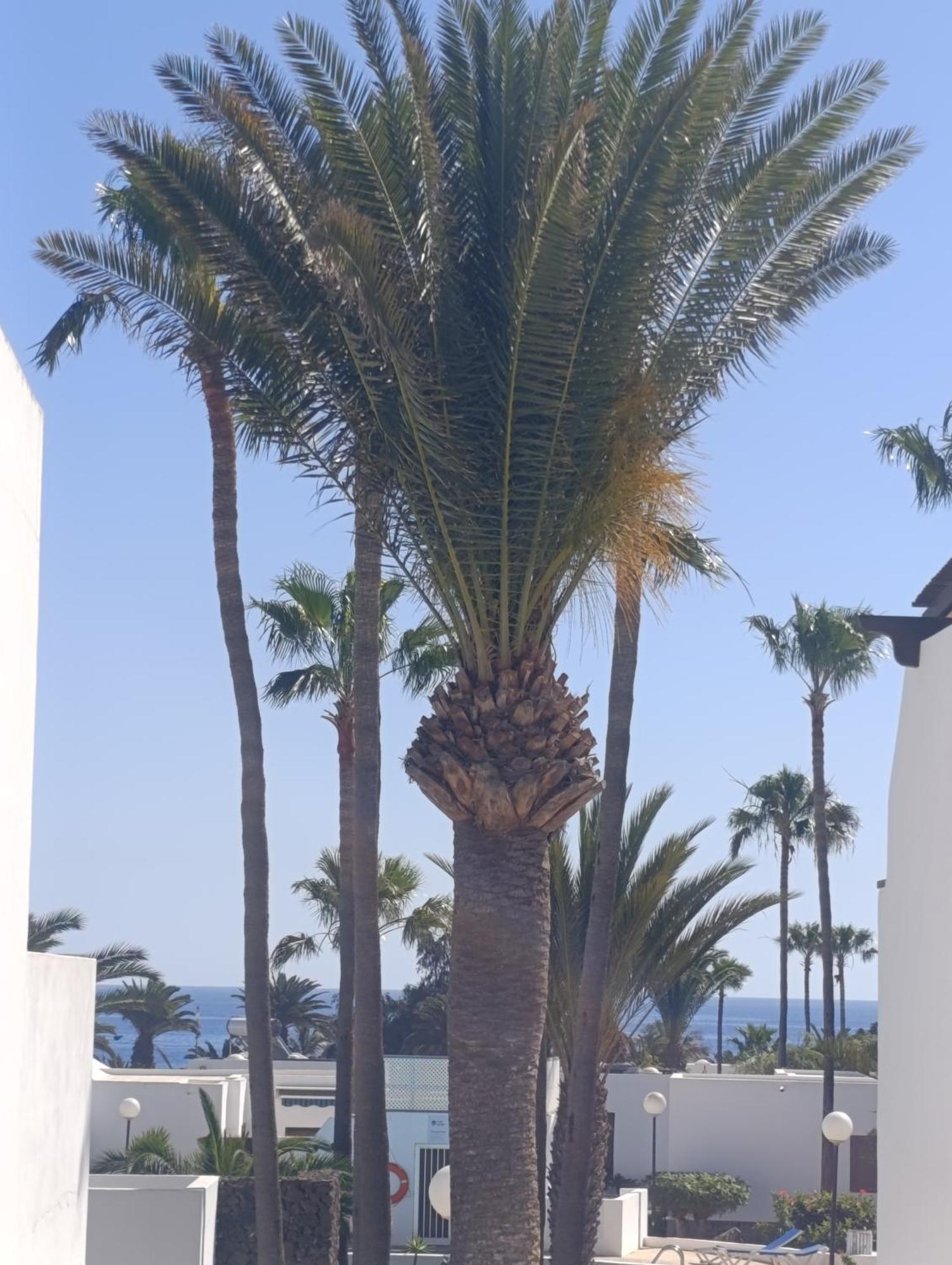Ferienwohnung Blue Ocean Costa Teguise Exterior foto